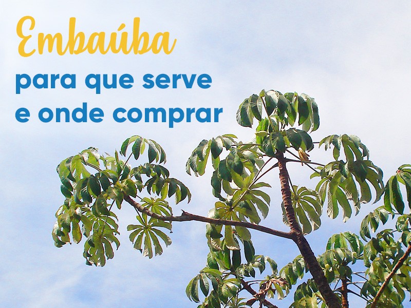 Embaba: para que serve e onde comprar